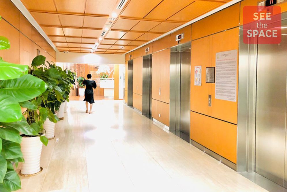 CEO Suite